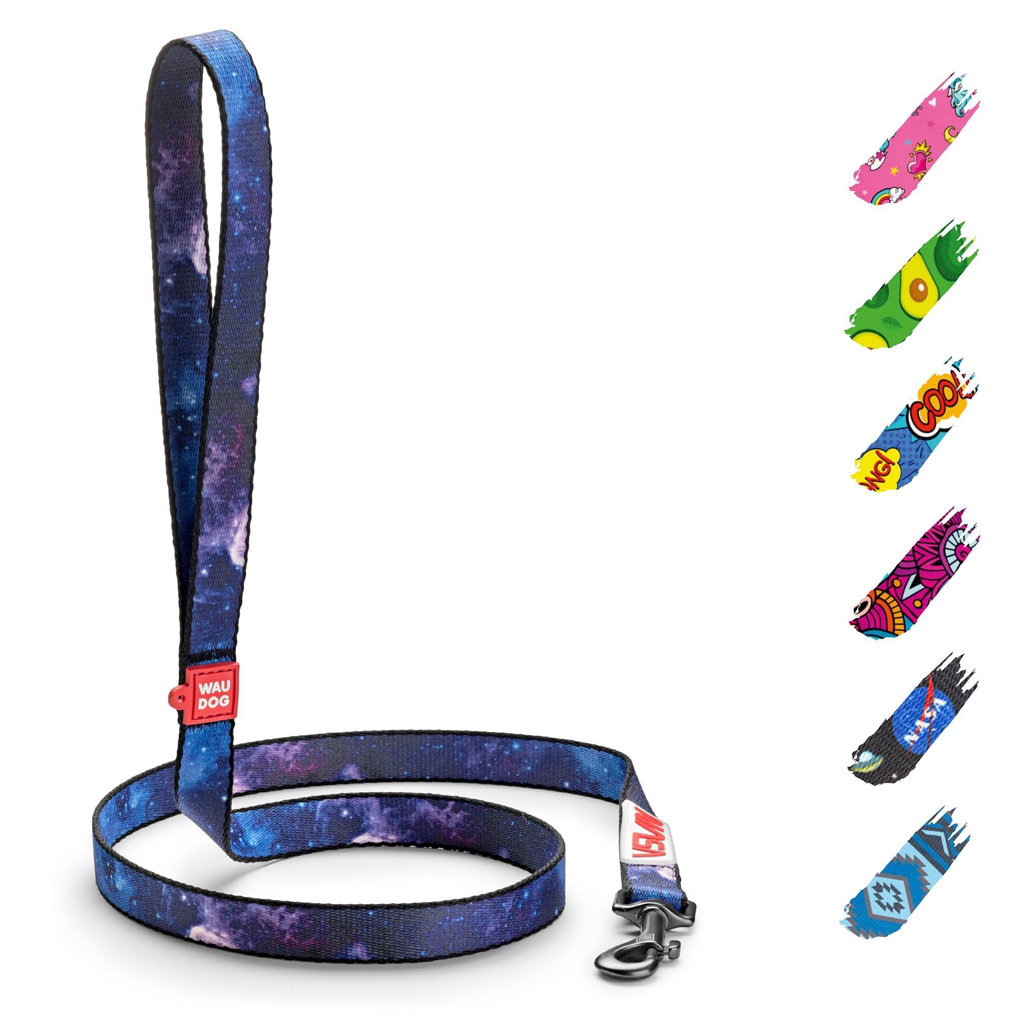 WAUDOG Nylon Dog Leash for Small Dogs and Medium Dogs 4 Ft Strong
