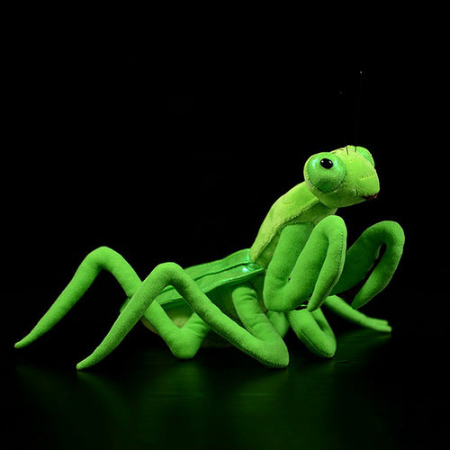 Lifelike Mantis Plush Toys Stuffed Animals Toy For Kids