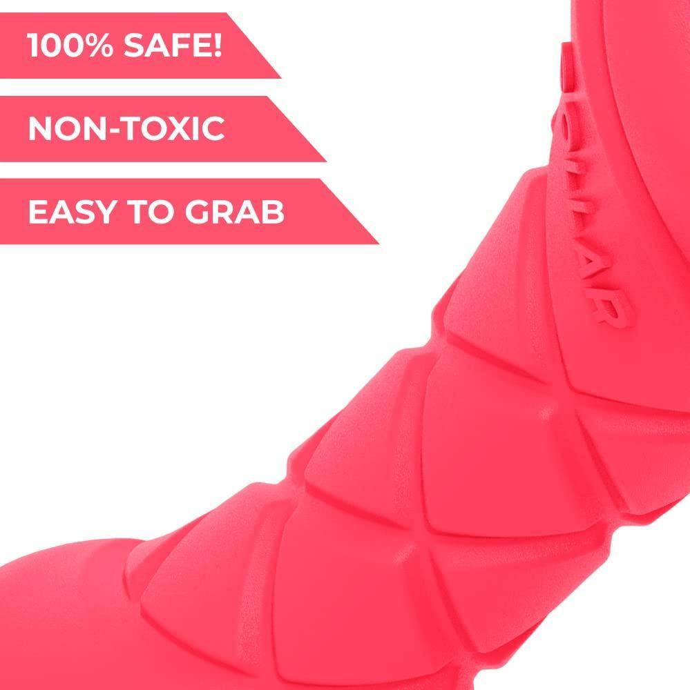 Dumbbell Dog Fetch Toy   Outdoor Barbell Dog Toy for Small Medium and