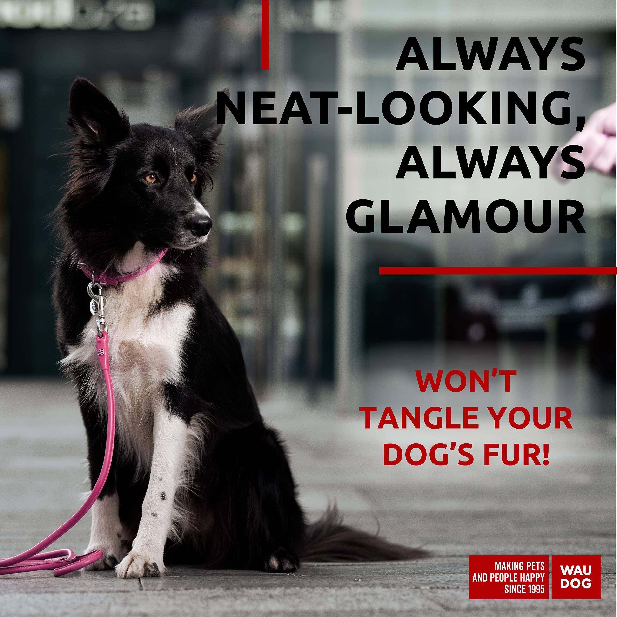 Rolled Leather Dog Leash 4Ft * 0.4 in for Small Medium and Large Dogs