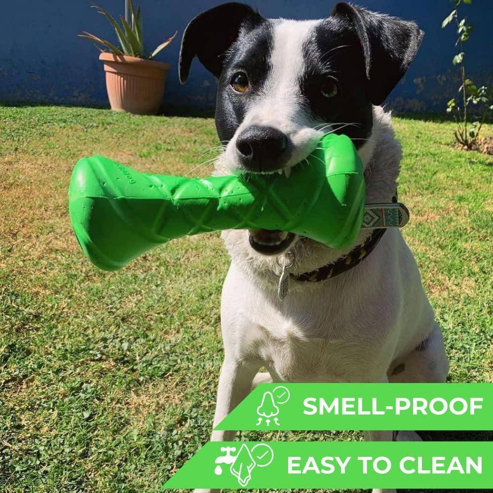 Dumbbell Dog Fetch Toy   Outdoor Barbell Dog Toy for Small Medium and