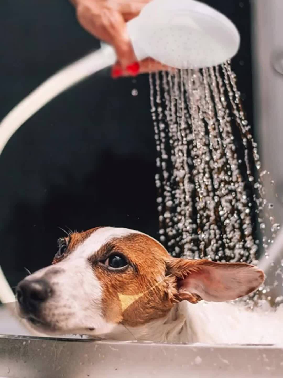1pc Quick-Connect Portable Shower Head Attachment - Effortless Hair Washer & Pet Groomer - Durable Multifunctional Spray Nozzle for Sink Faucets - Easy Indoor/Outdoor Use