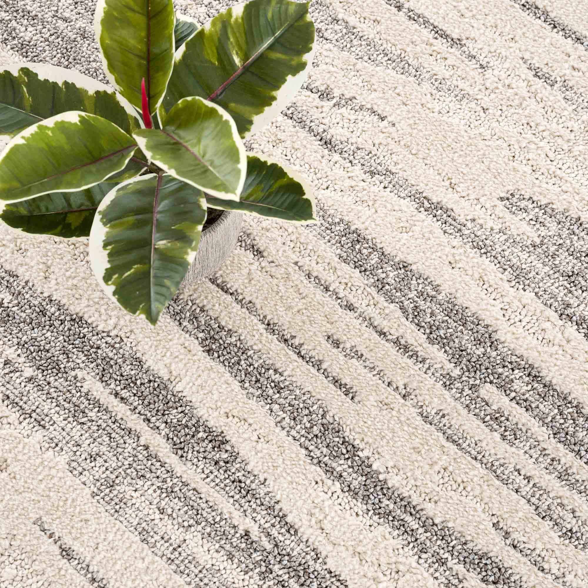 Lave Bone & Taupe Area Rug - Clearance