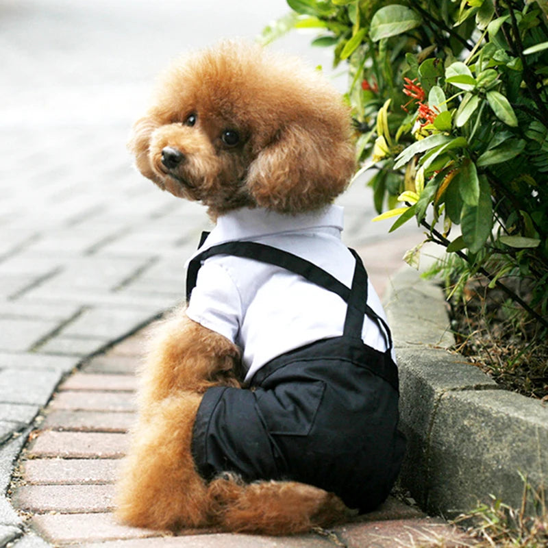 Dog Tuxedo Suit Costume