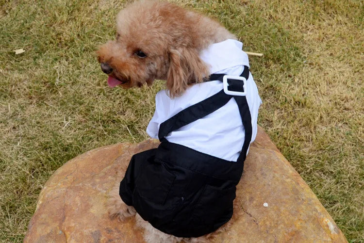Dog Tuxedo Suit Costume