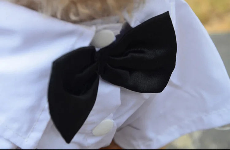Dog Tuxedo Suit Costume