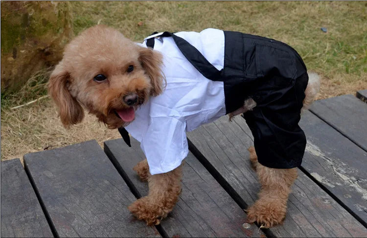 Dog Tuxedo Suit Costume