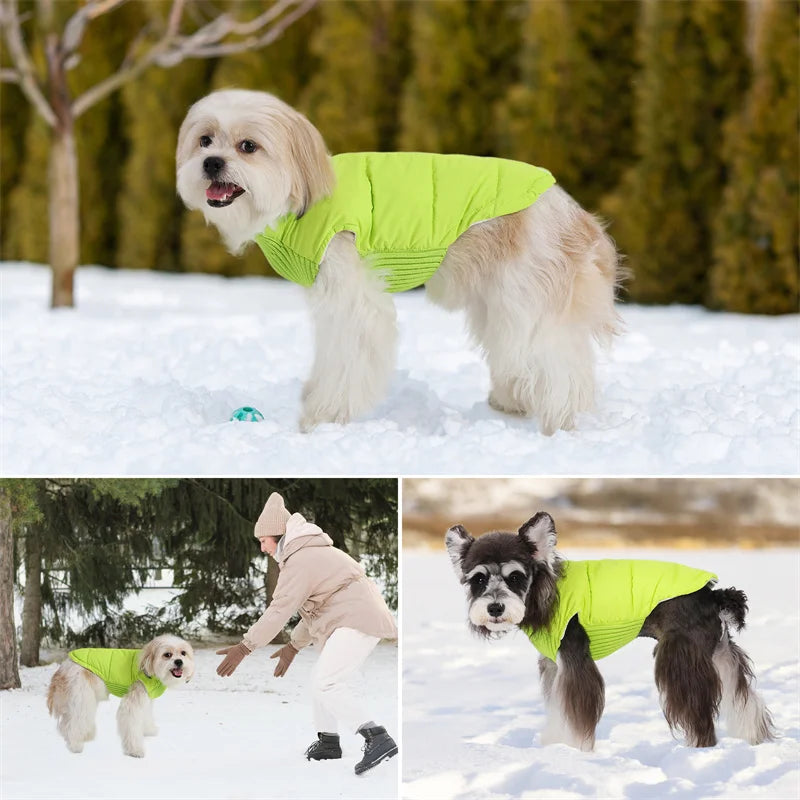 Winter Dog Vest