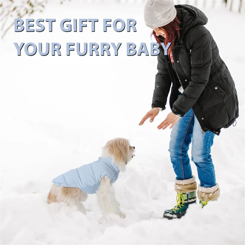 Winter Dog Vest