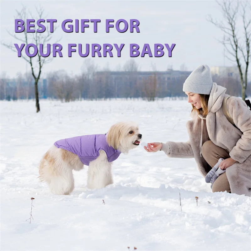 Winter Dog Vest
