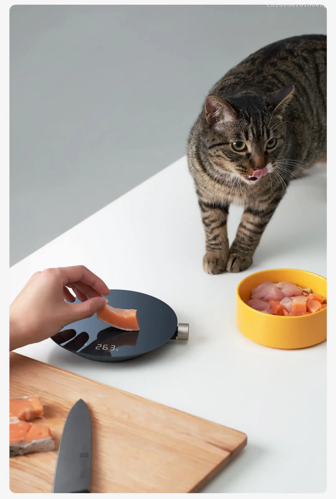 Xiaomi smart kitchen food precision electronic scale Mini food electronic scale can be connected to Mihome app and upload data