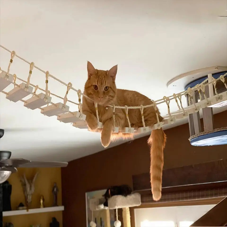 Cat Climbing Shelves Wall Mounted Cat Tree with Sisal Scratching Post Jumping Platform Ladder Cats Supplies Indoor Pet Furniture