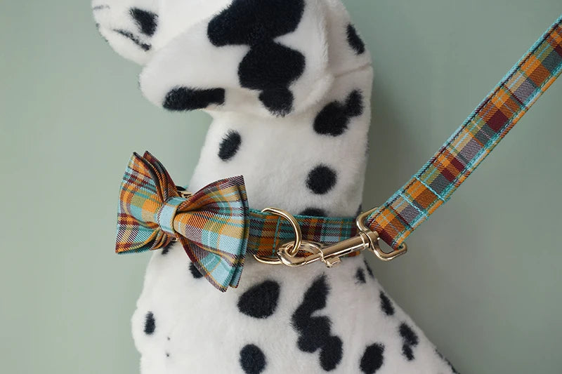 Personalized Dog Accessories