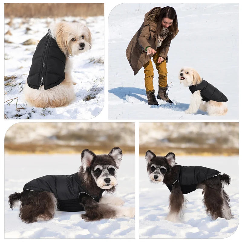 Winter Dog Vest