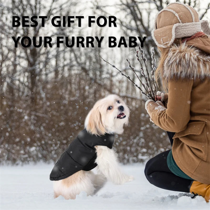 Winter Dog Vest