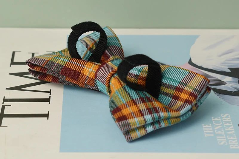 Personalized Dog Accessories