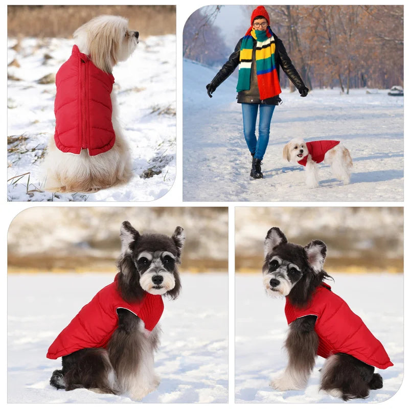 Winter Dog Vest