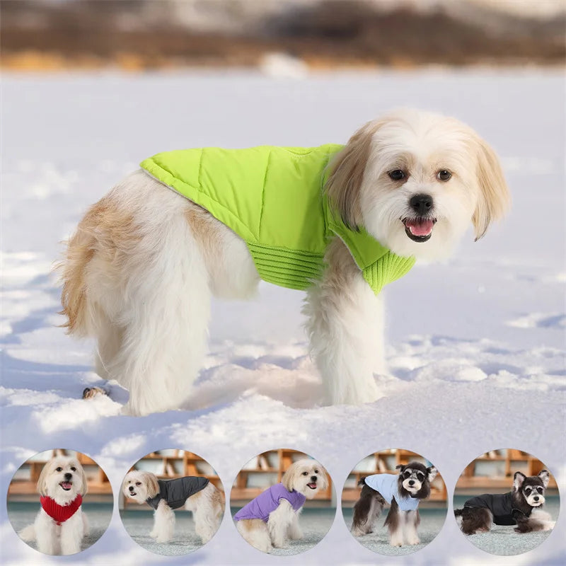 Winter Dog Vest