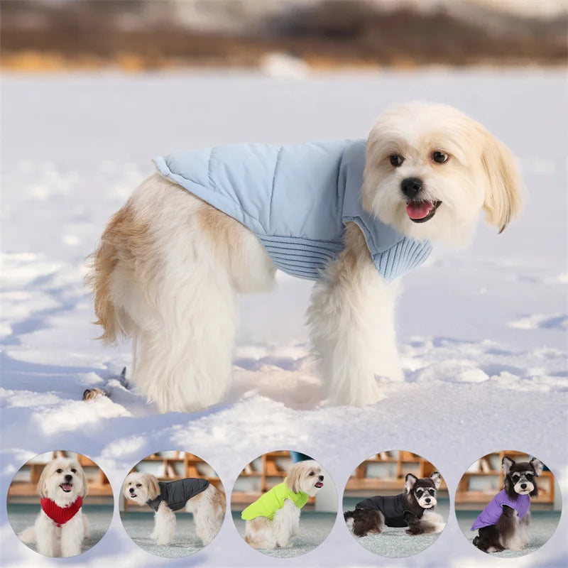 Winter Dog Vest