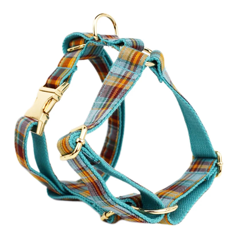 Personalized Dog Accessories