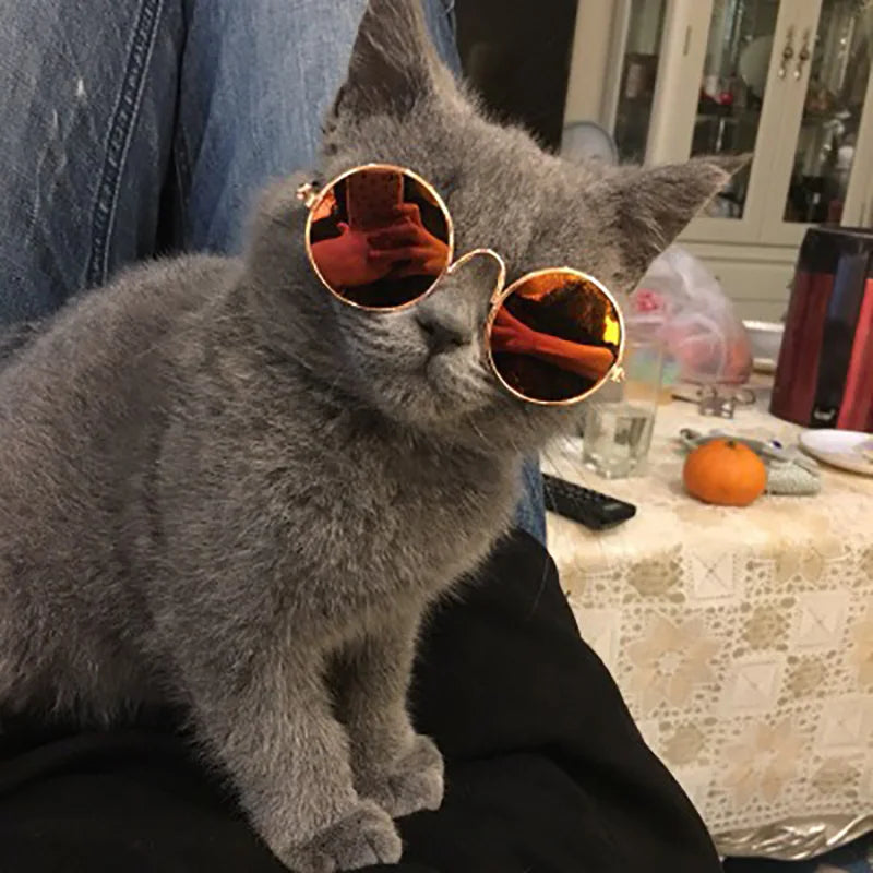Lovely Vintage Round Cat Sunglasses
