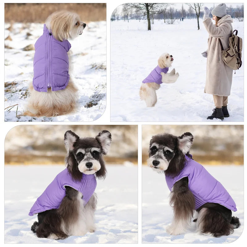 Winter Dog Vest