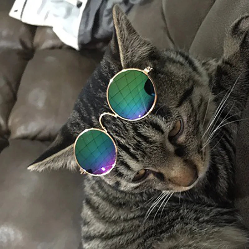 Lovely Vintage Round Cat Sunglasses