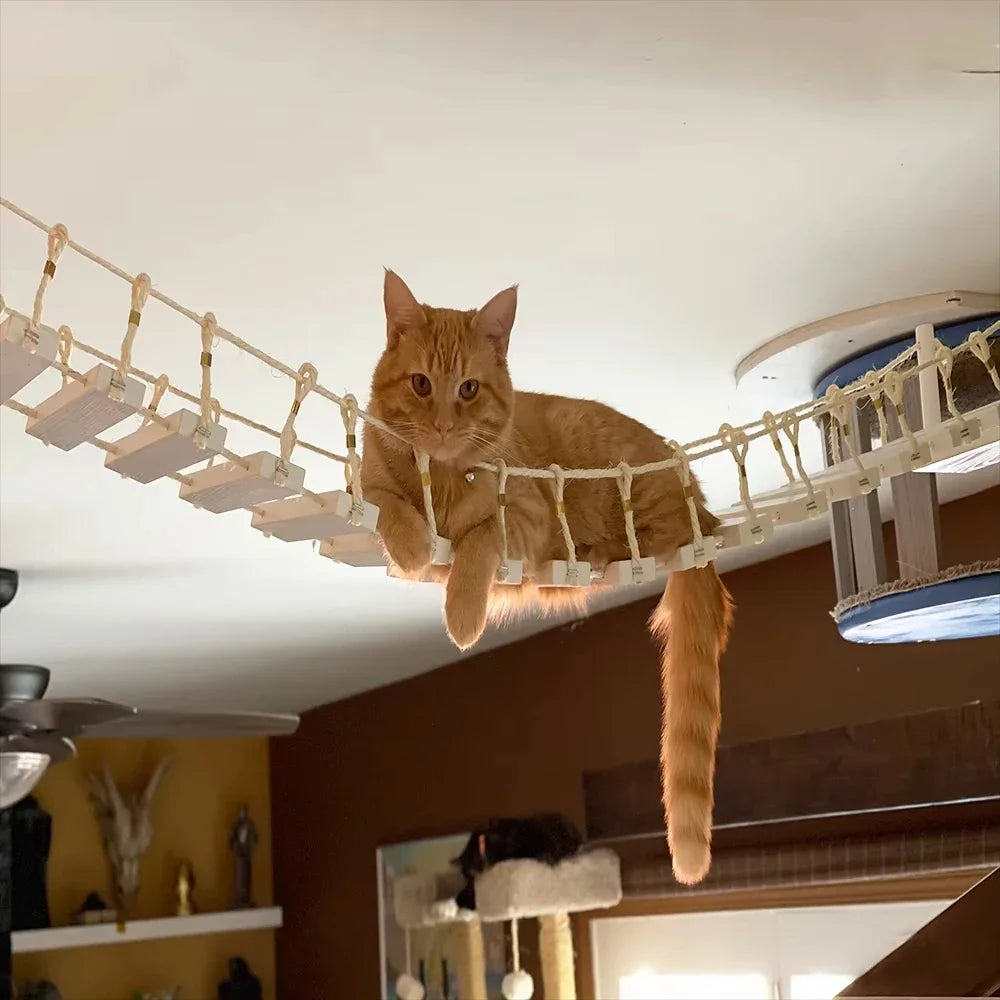 Cat Climbing Shelves Wall Mounted Cat Tree with Sisal Scratching Post Jumping Platform Ladder Cats Supplies Indoor Pet Furniture