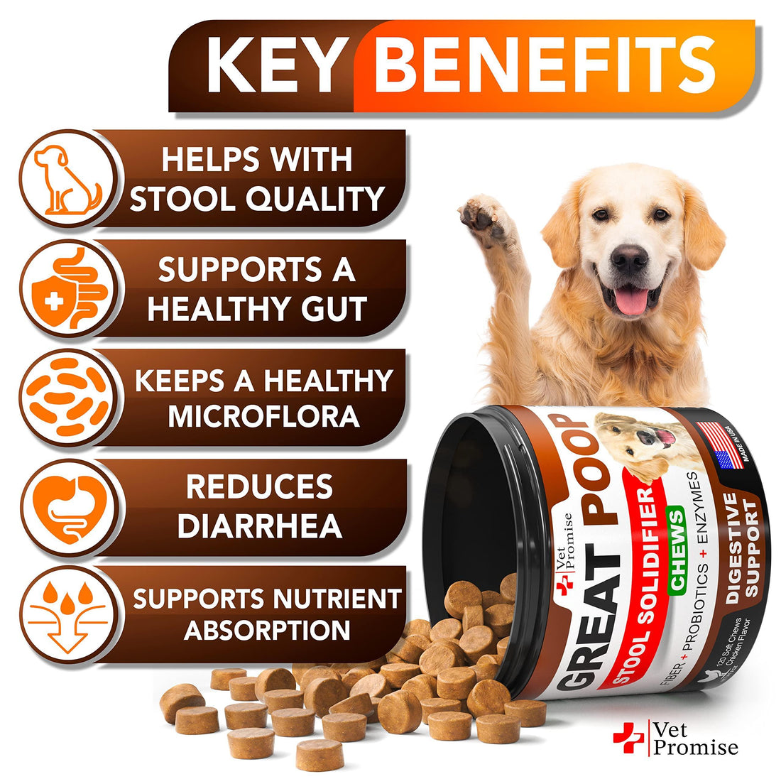 Great Poop Probiotics for Dogs Dog Stool Softener Fiber for Dogs