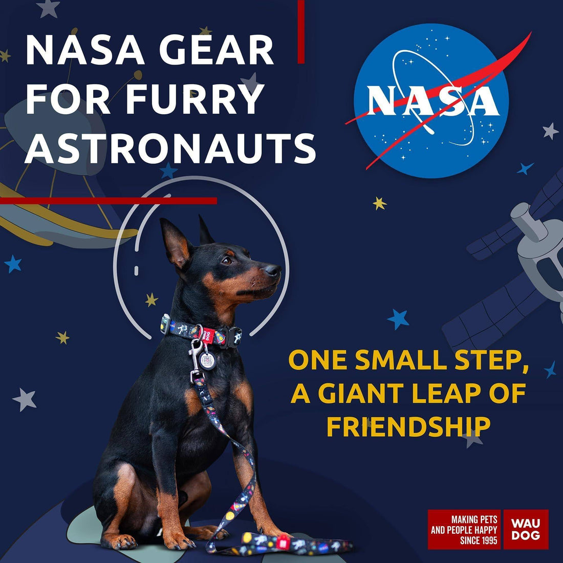 WAUDOG Nylon Dog Leash for Small Dogs and Medium Dogs 4 Ft   Strong