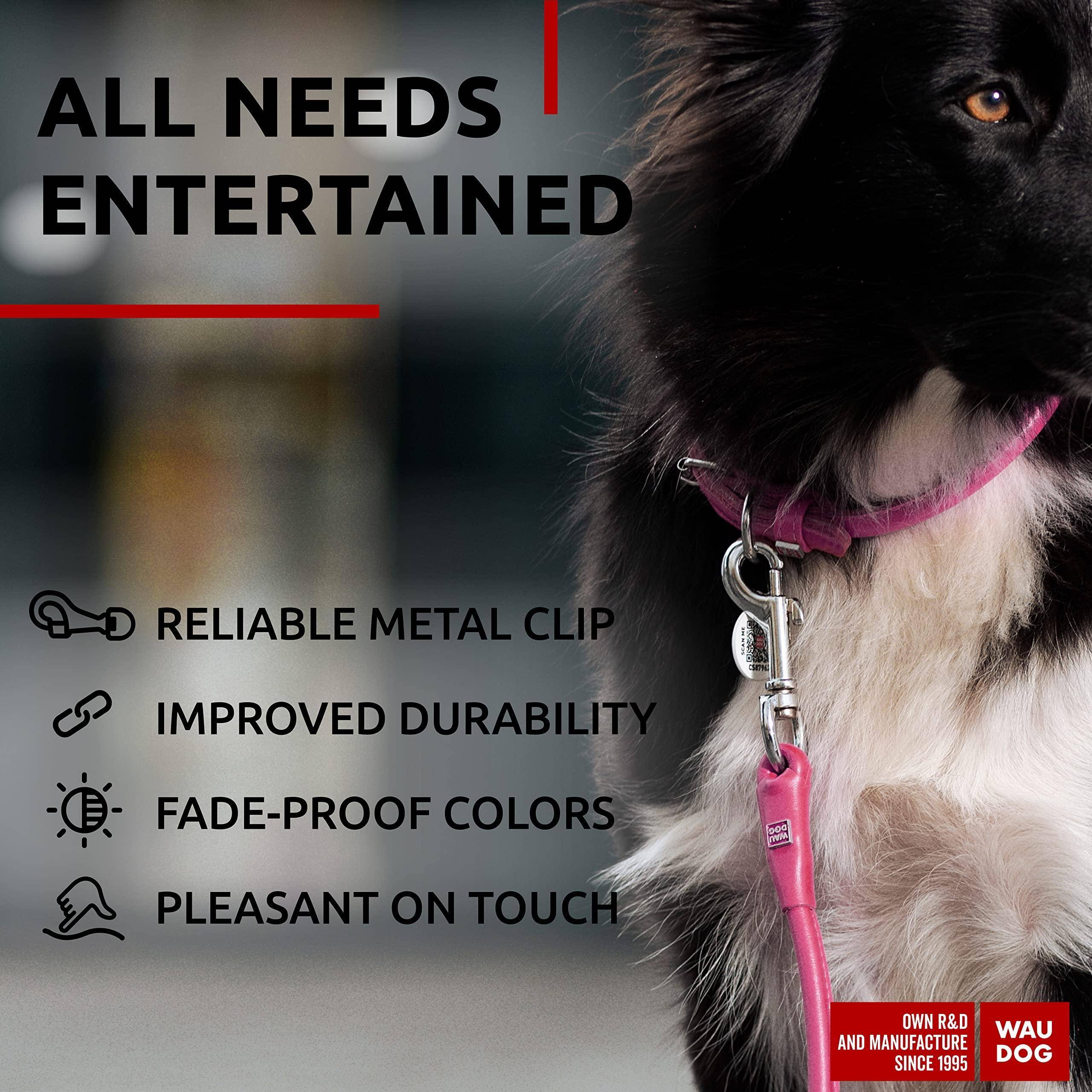 Rolled Leather Dog Leash 4Ft * 0.4 in for Small Medium and Large Dogs