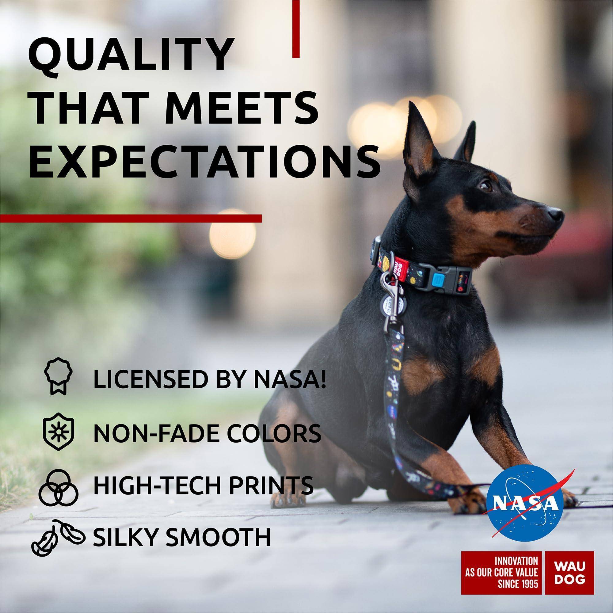 WAUDOG Nylon Dog Leash for Small Dogs and Medium Dogs 4 Ft   Strong