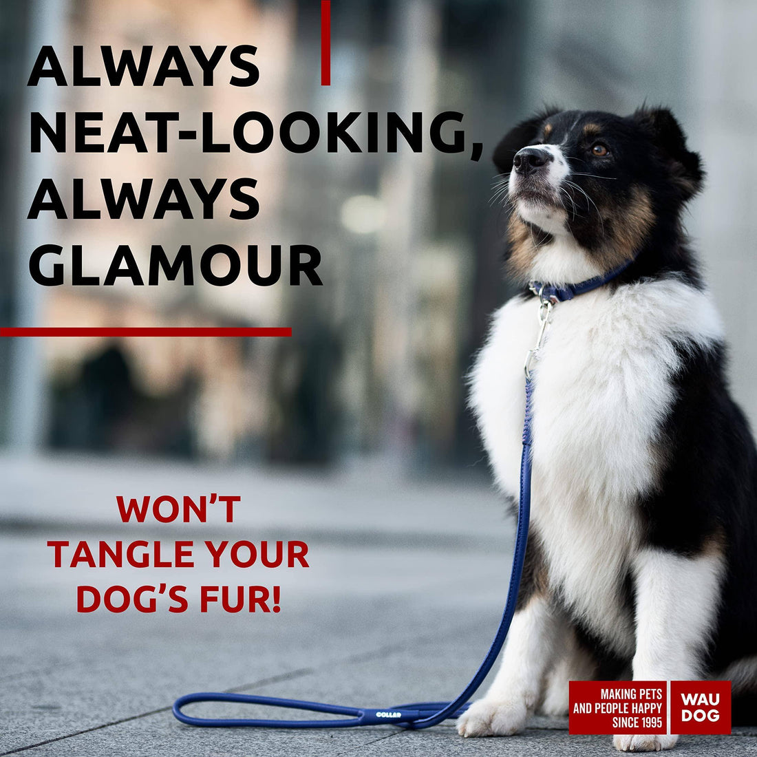 Rolled Leather Dog Leash 6Ft * 0.5 in for Small Medium and Large Dogs