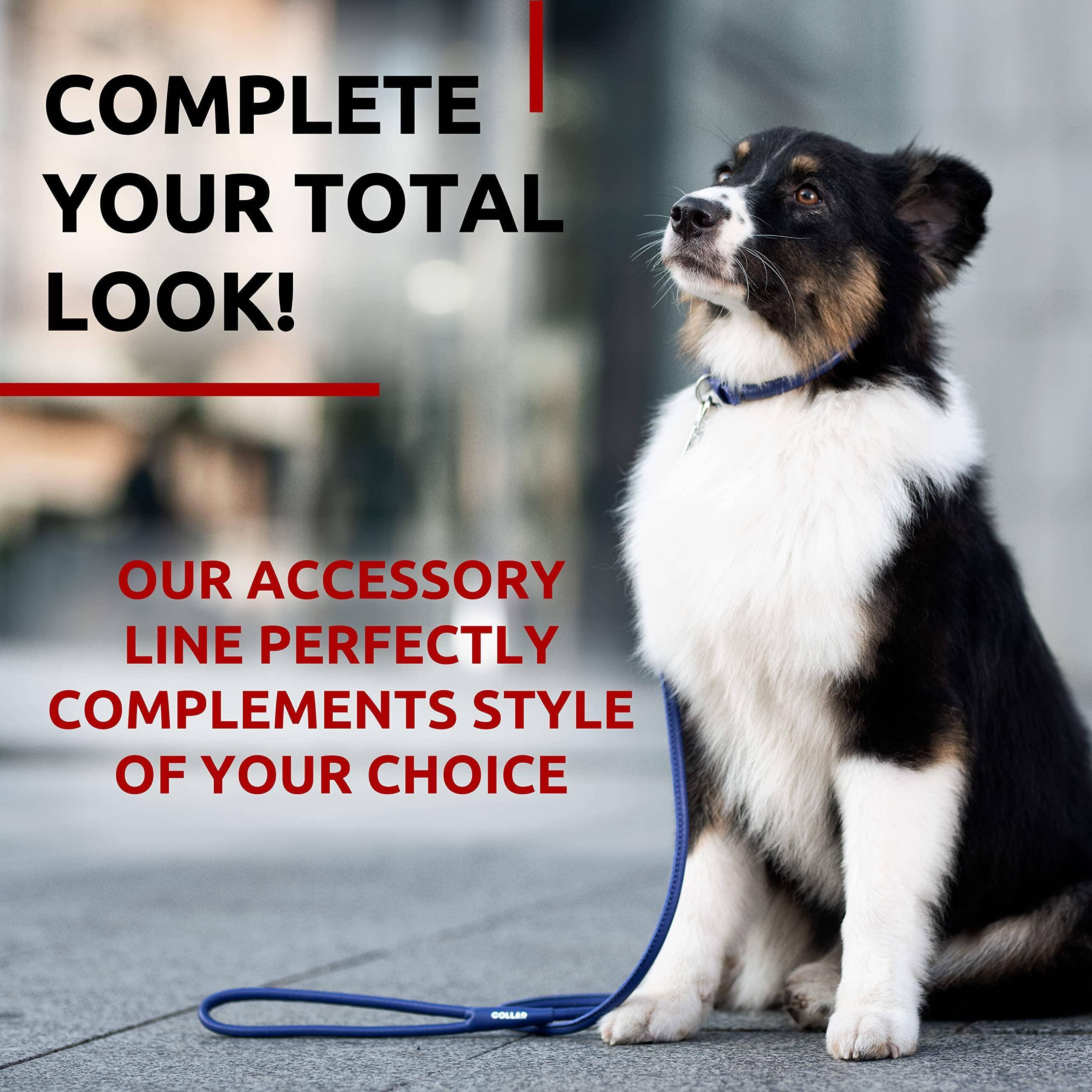 Rolled Leather Dog Leash 6Ft * 0.5 in for Small Medium and Large Dogs