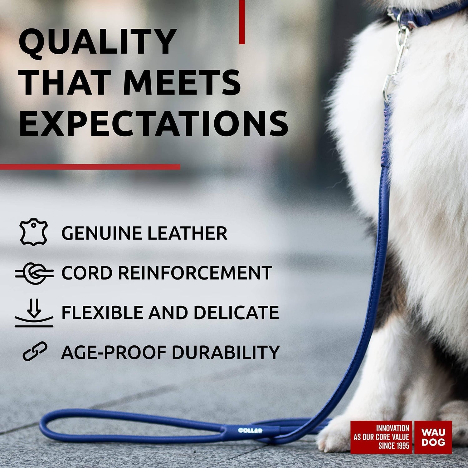 Rolled Leather Dog Leash 6Ft * 0.5 in for Small Medium and Large Dogs