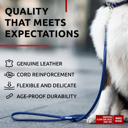 Rolled Leather Dog Leash 6Ft * 0.5 in for Small Medium and Large Dogs