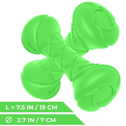 Dumbbell Dog Fetch Toy   Outdoor Barbell Dog Toy for Small Medium and