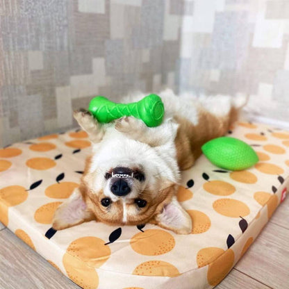 Dumbbell Dog Fetch Toy   Outdoor Barbell Dog Toy for Small Medium and