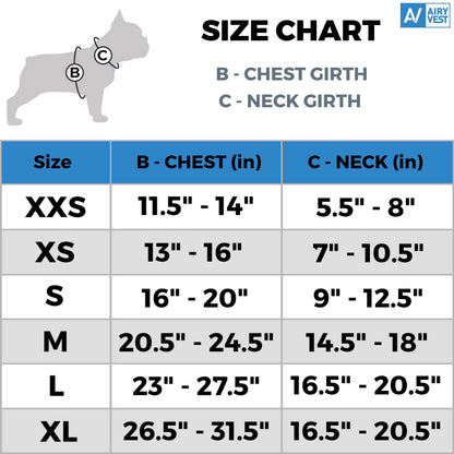 Dog Winter Coat for Small Medium &amp; Large Dogs   Waterproof Dog Warm