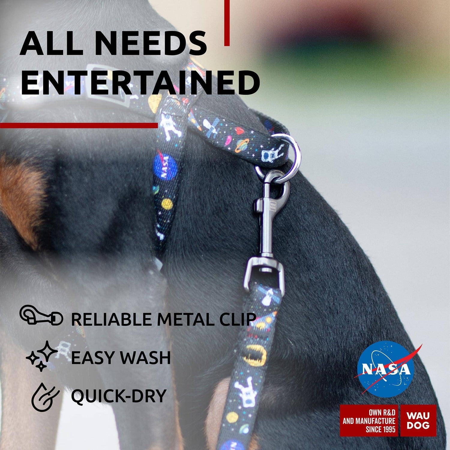 WAUDOG Nylon Dog Leash for Small Dogs and Medium Dogs 4 Ft   Strong