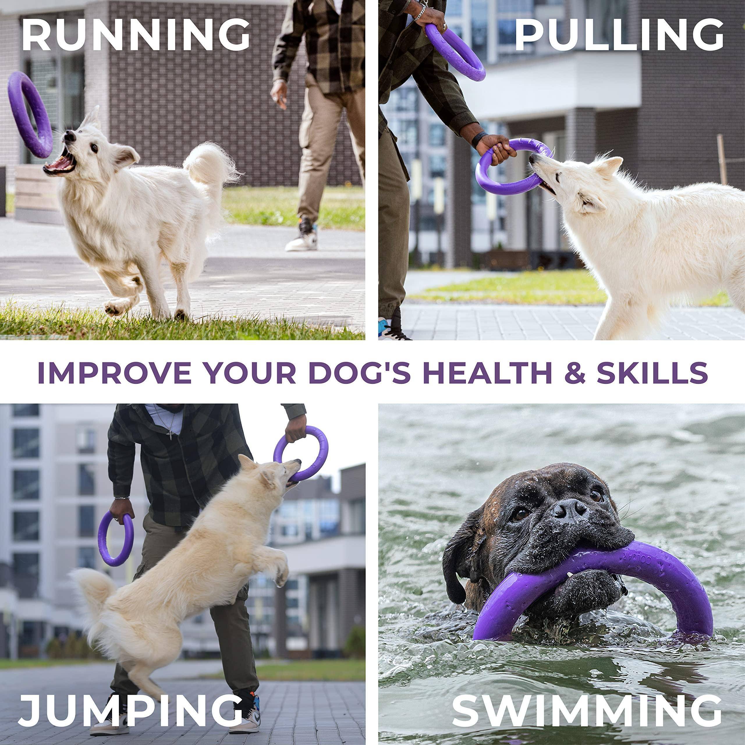 Puller Outdoor Dog Ring Toys   Dog Fetch Toy &amp; Tug of War Dog Toy for