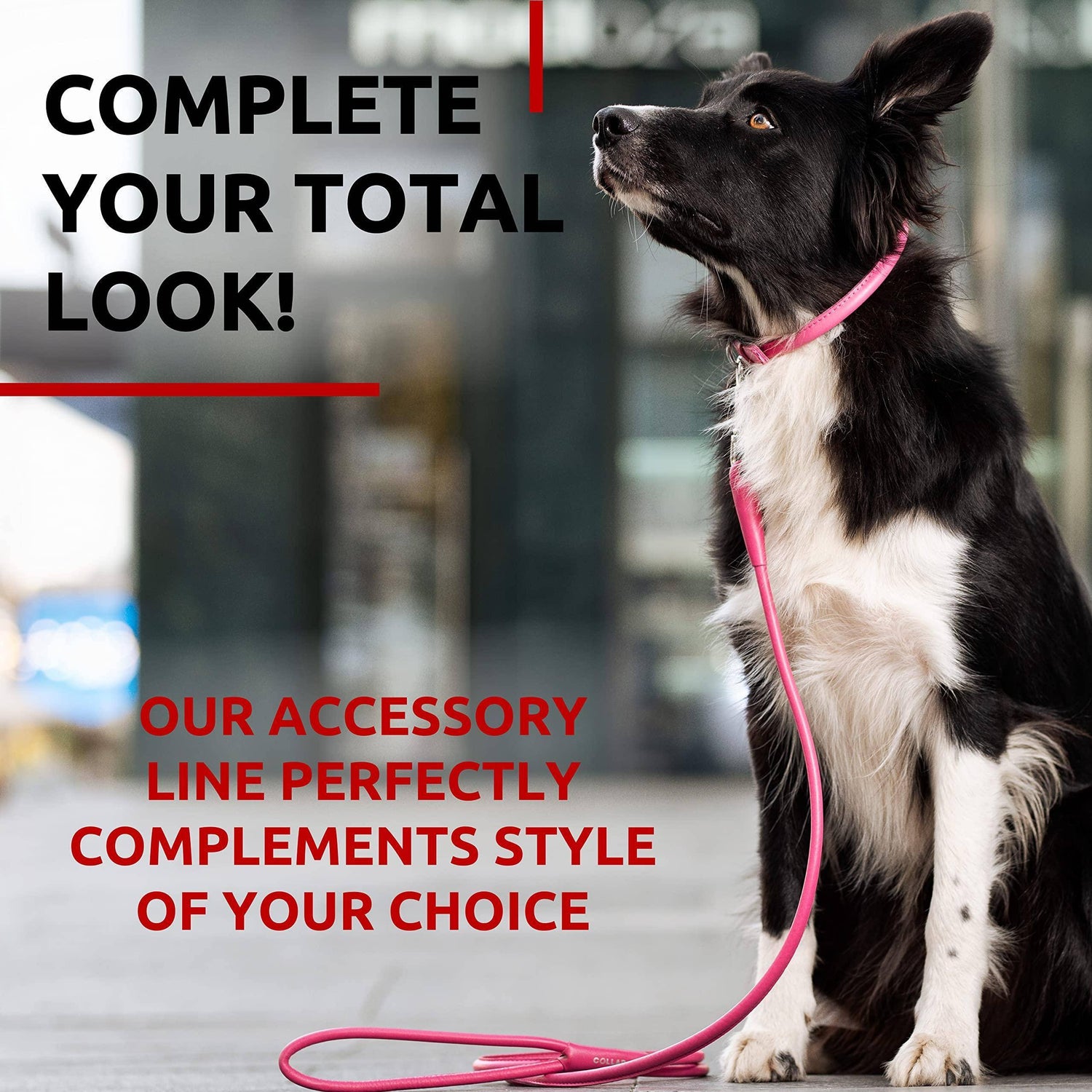 Rolled Leather Dog Leash 4Ft * 0.4 in for Small Medium and Large Dogs