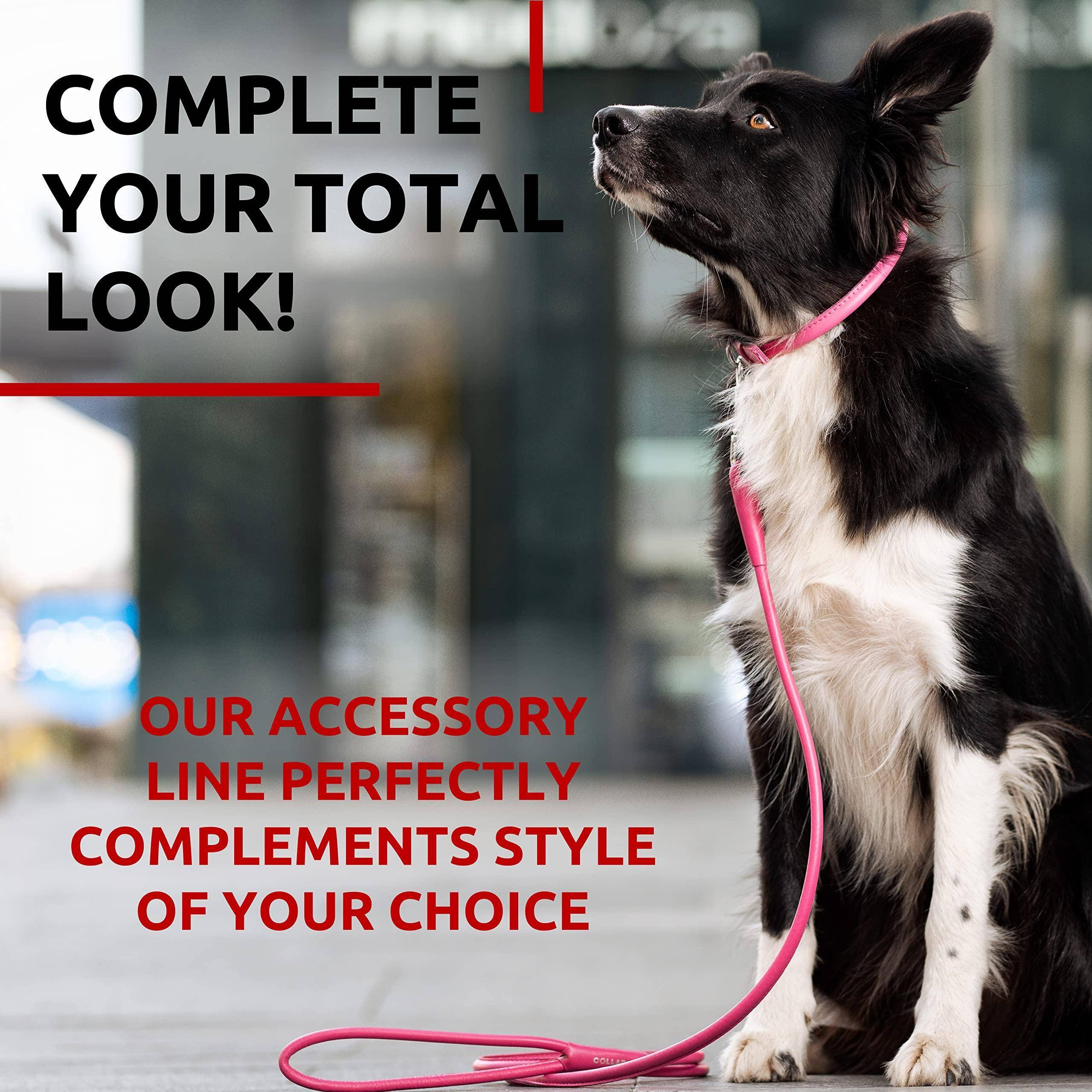 Rolled Leather Dog Leash 4Ft * 0.4 in for Small Medium and Large Dogs