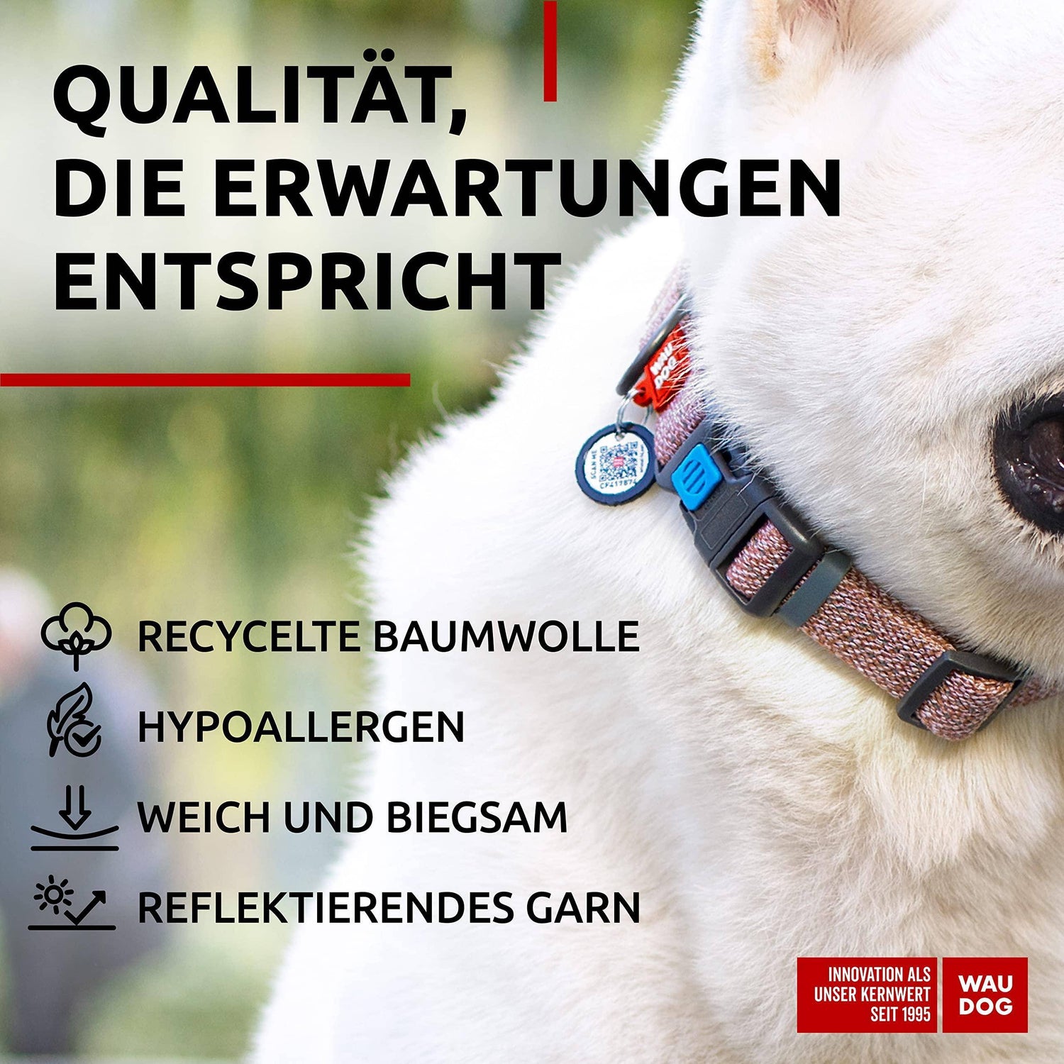 Reflective Cotton Dog Collar Eco Friendly Alt to Nylon Collar for