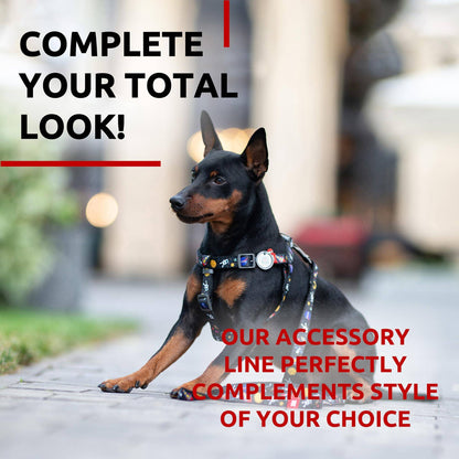 WAUDOG Nylon Dog Leash for Small Dogs and Medium Dogs 4 Ft   Strong