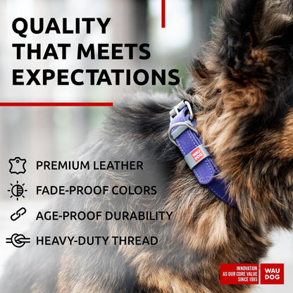Long Lasting Leather Dog Collar for Large Dogs Medium &amp; Small Dogs