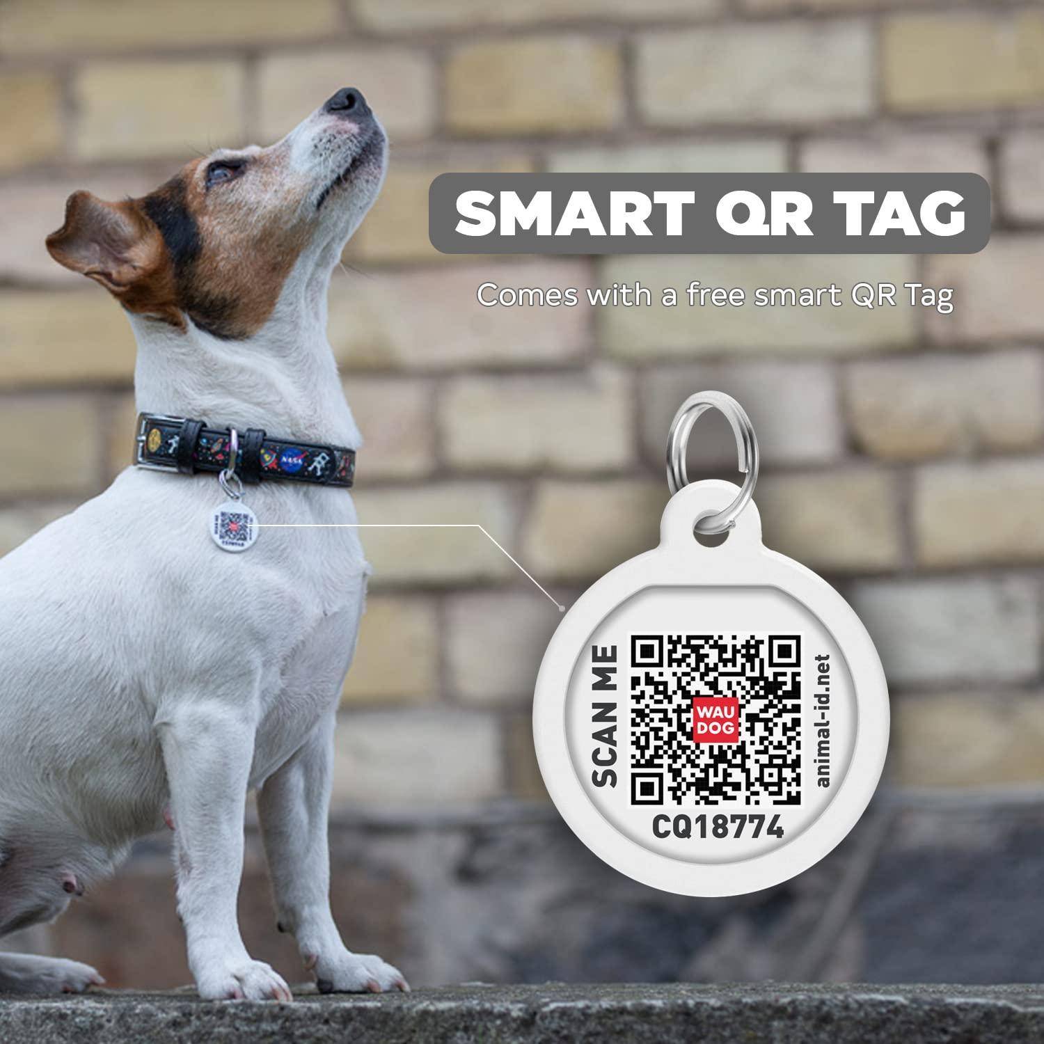 WAUDOG Leather Dog Collar with NASA Design   Dog Collars for Medium