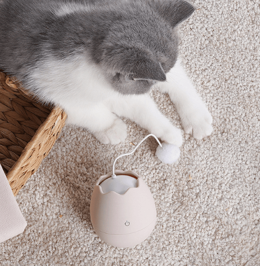 Playful Paws Interactive Cat Toy