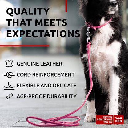 Rolled Leather Dog Leash 4Ft * 0.4 in for Small Medium and Large Dogs