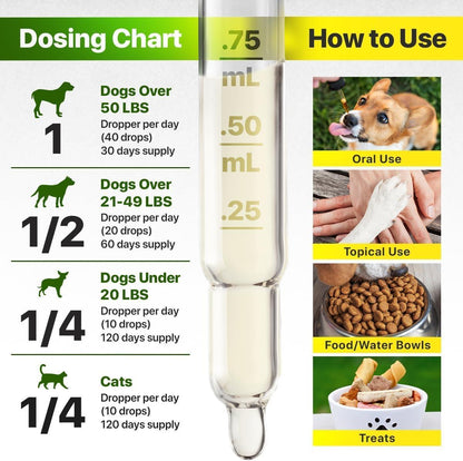 Charlie&amp;Buddy H–µmp and Salmon Oil for Dogs Skin and Coat H–µalth   3